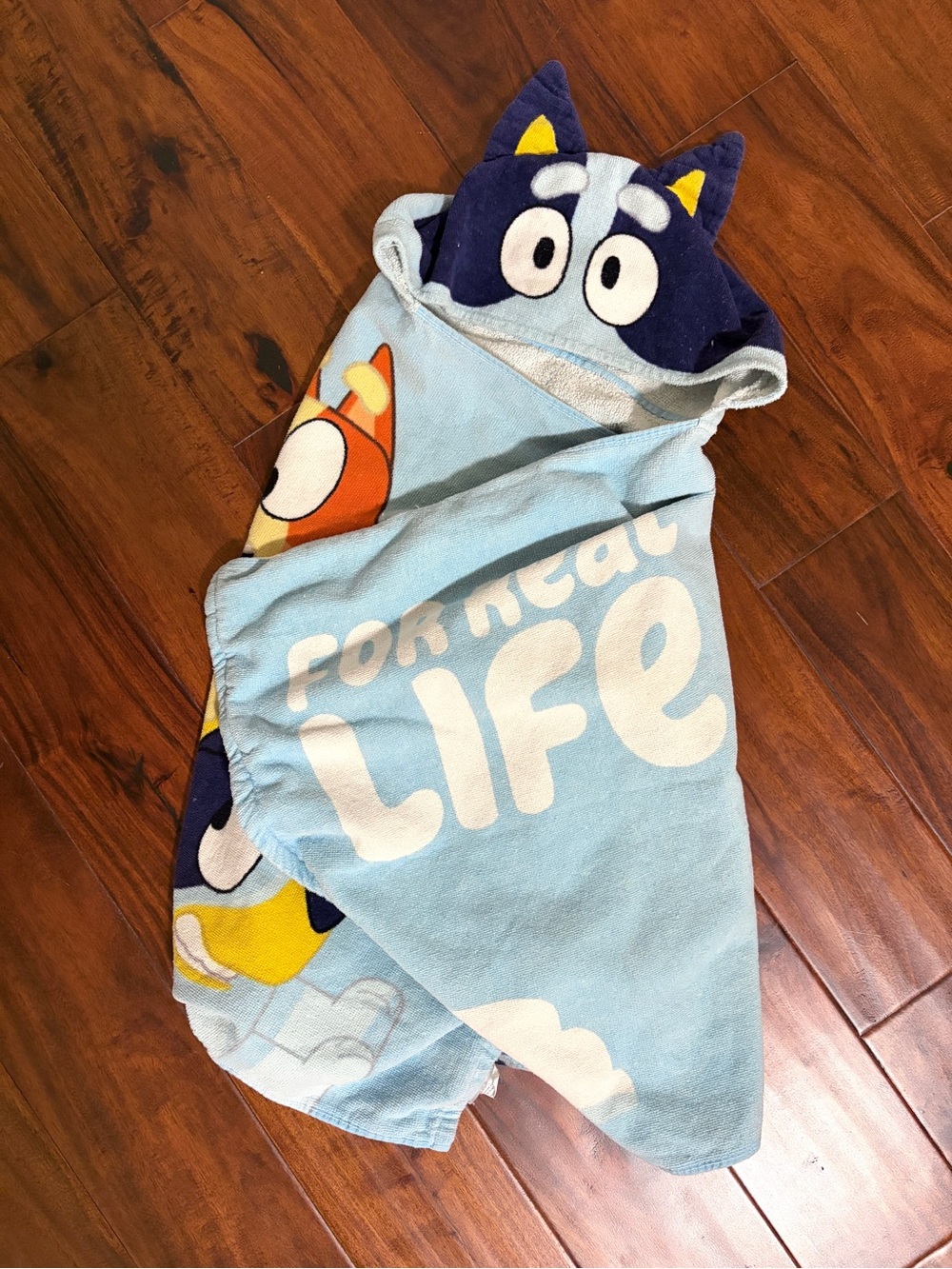 Bluey | Kids | Novelty Hooded Towel Jacket